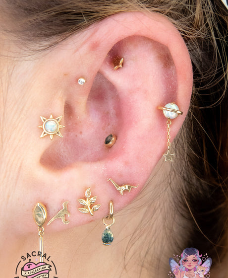Ears